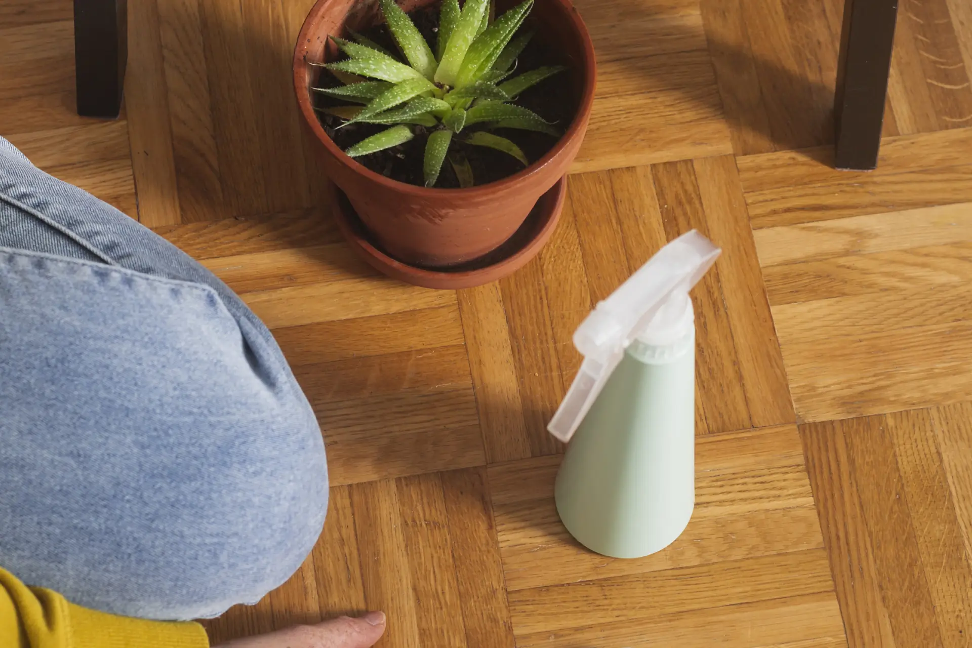 SPC Flooring for Allergies Essential Insights and Benefits Wintel